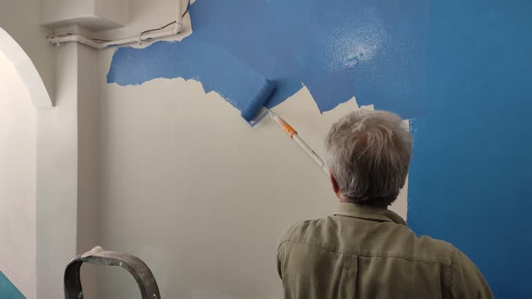 Best Water-Damaged Drywall Repair  in North Valley Stream, NY